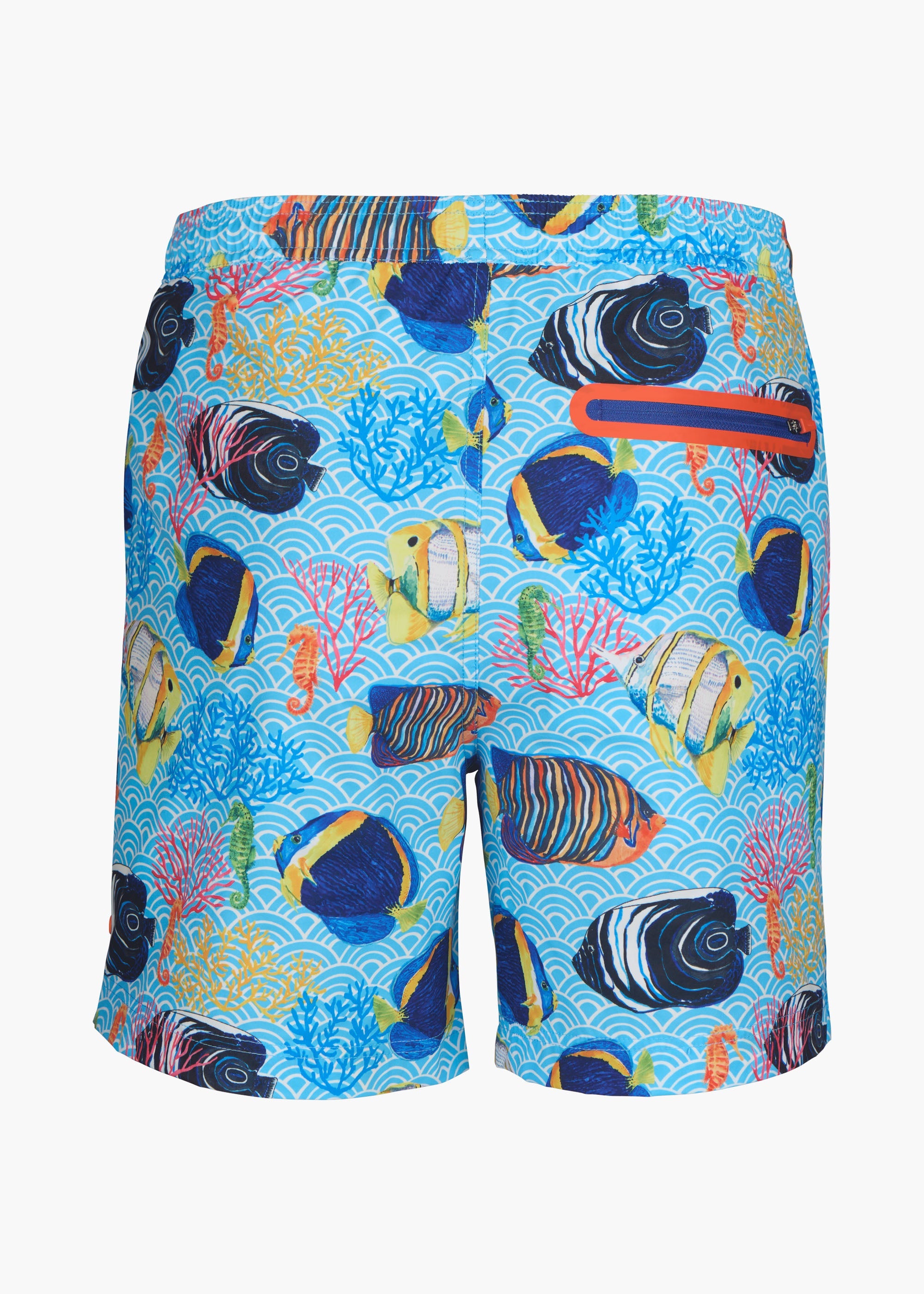 Sol Swim Short (6 ½